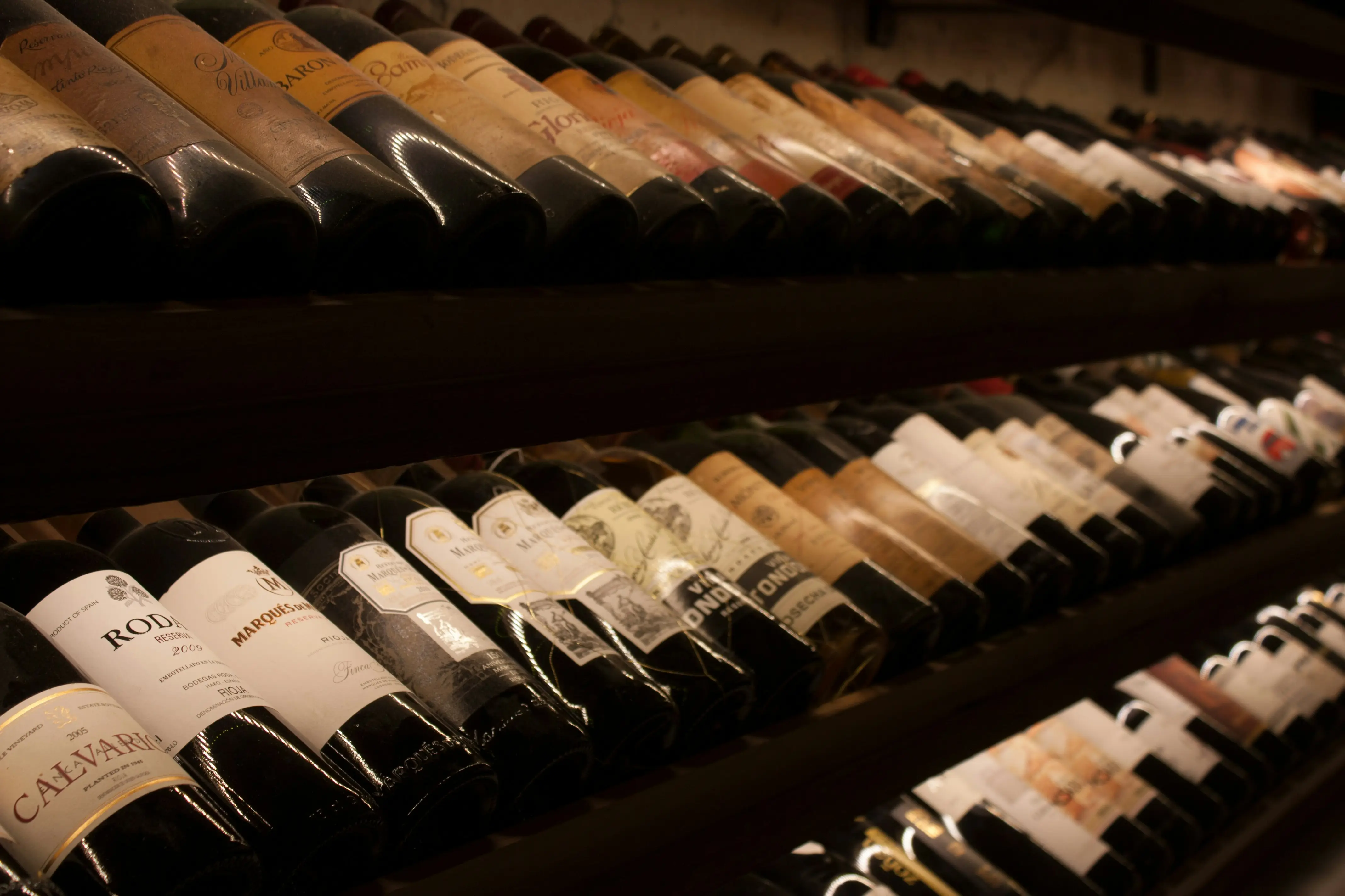 Adega com garrafas de vinho selecionadas